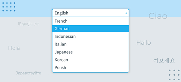 Choose from over 13 languages!