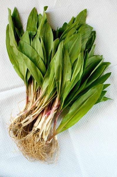 A bunch of ramps on a towel. 