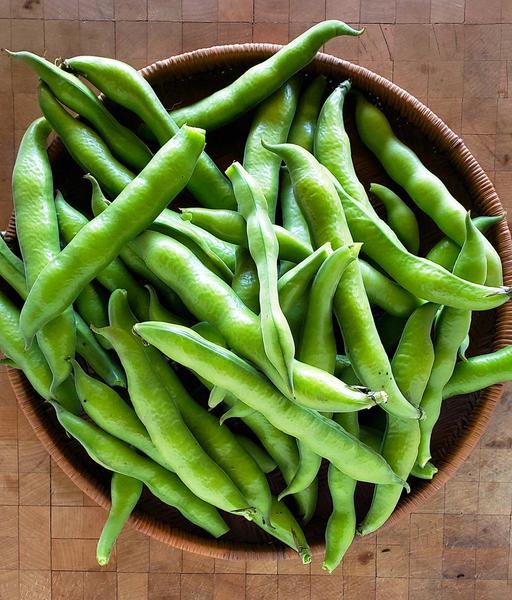 Fresh fava beans in a basket. 