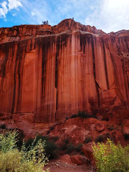 A wall of sandstone in Utah.