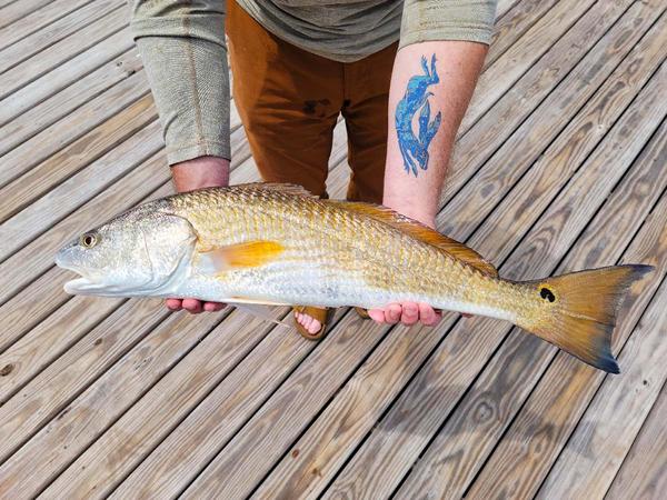 Hank Shaw with a redfish