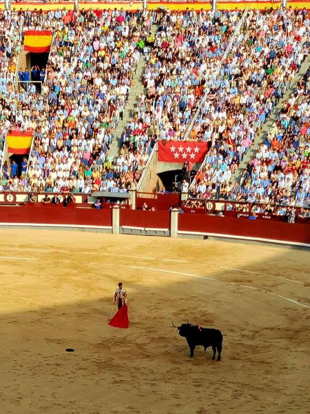 A matador getting ready to face the bull. 