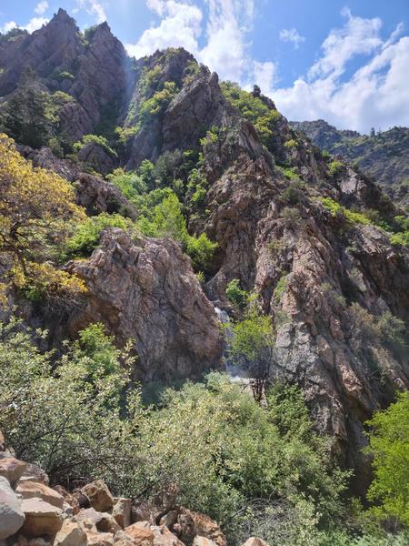 Hiking trail in Utah near Salt Lake City.