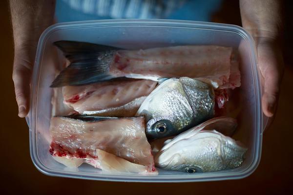 Me holding fish bits to make stock. 