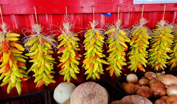 Ristras of yellow caribe chiles hanging in Hatch, New Mexico.