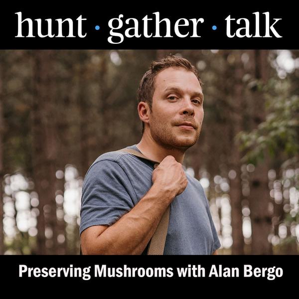 Podcast image - Alan Bergo