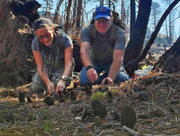 Holly and Hank picking morels. Again.