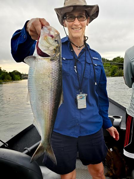 Holly holding a nice hen shad