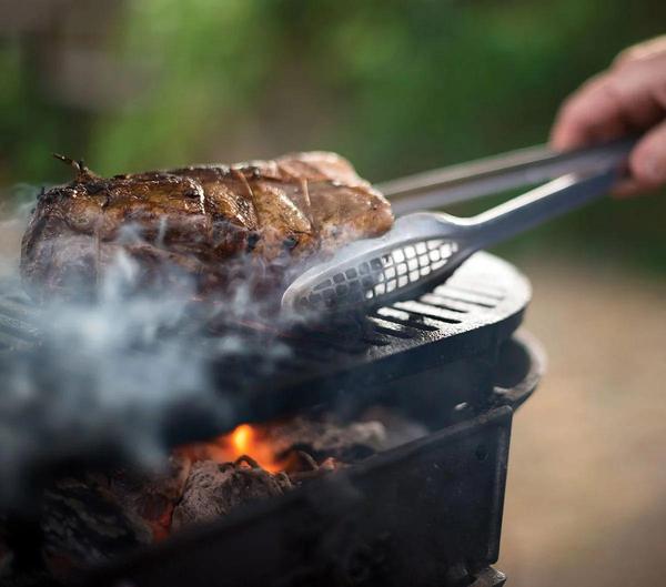 Grilled venison steak