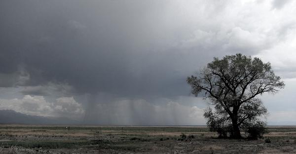 A thunderstorm on the high plains. 