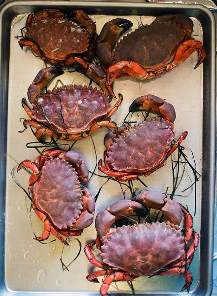 Crabs on a tray