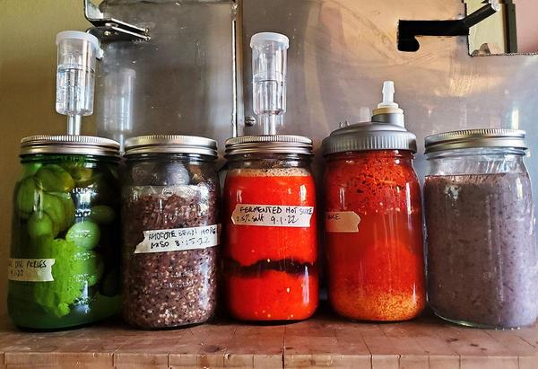 Fermenting pickles, beans and hot sauces