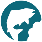 Wild Bites fish logo