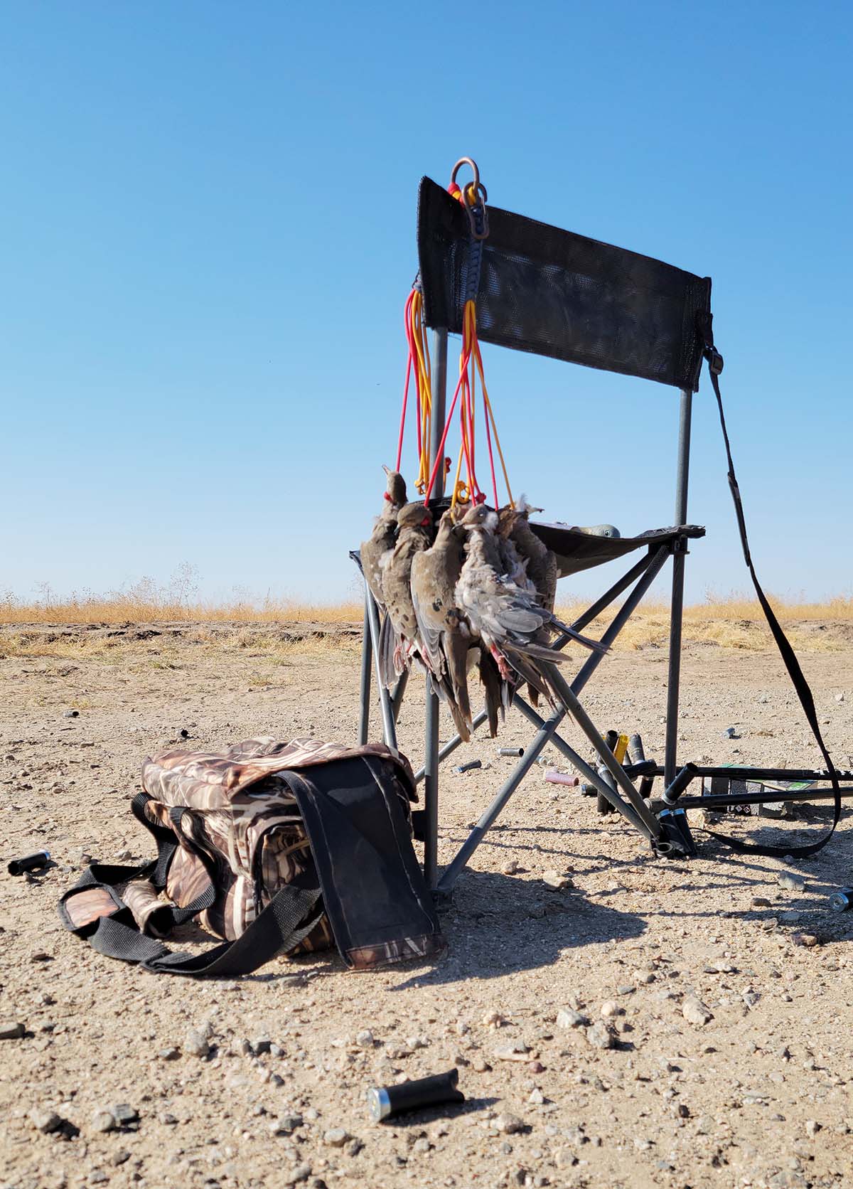 Doves hanging on a lanyard in Yuma, Arizona. 