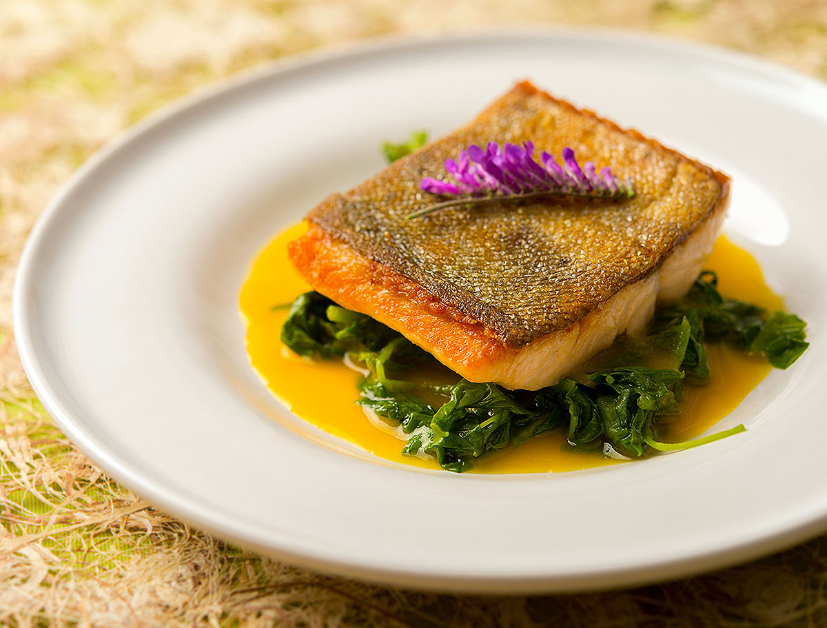 Seared trout with orange-saffron sauce. 