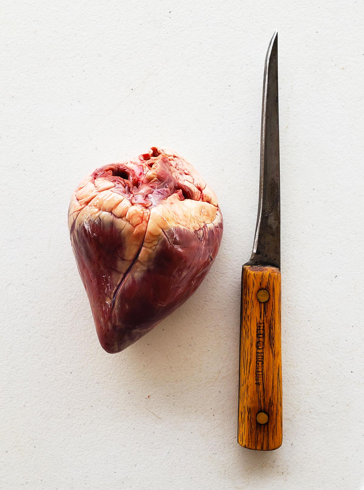 A deer heart next to an Old Hickory boning knife. 