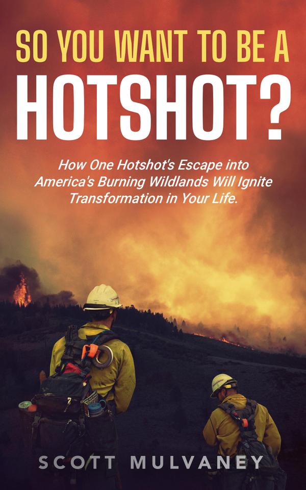 Hotshot Book Cover