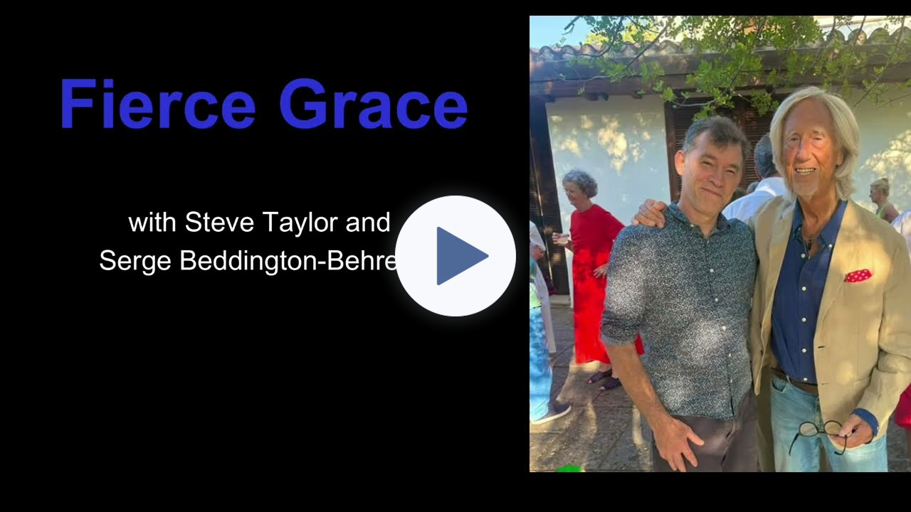 Fierce Grace - with Steve Taylor and Serge Beddington-Behrens.