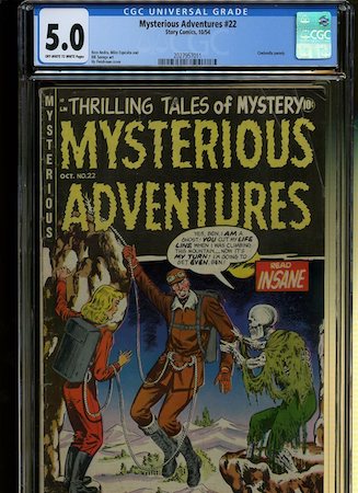 Mysterious Adventures #22 in our Shopify store!