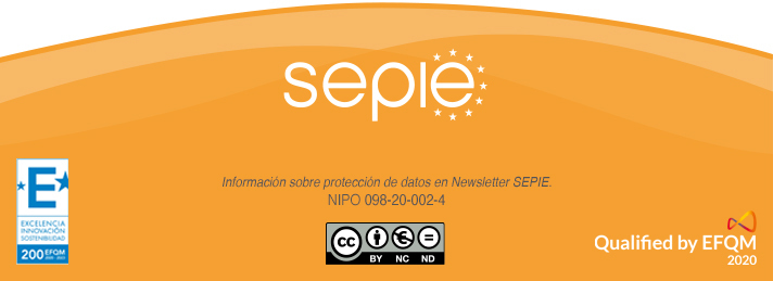 SEPIE Newsletter - Nº 40