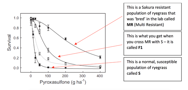 Inheritance graph - Roberto Busi