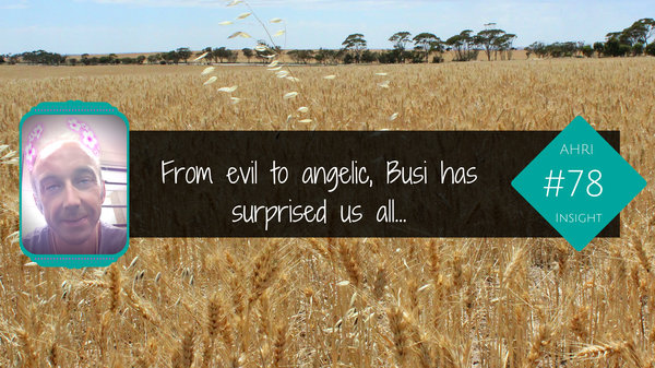 Evil to angelic - Roberto Busi