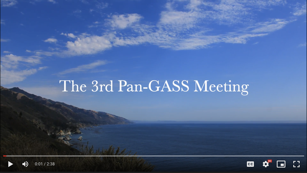 First frame of 3rd Pan-GASS Meeting video