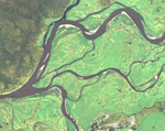 Satellite image of delta