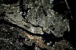 Satellite image of New York City