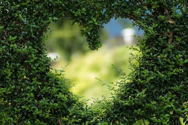 Wholeheartedness