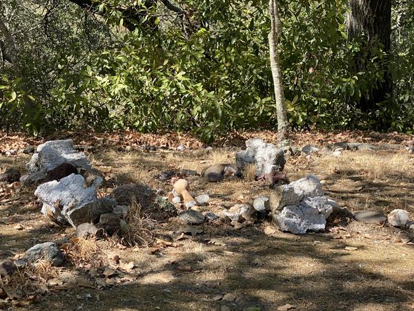 Ancient whale bones in medicine wheel