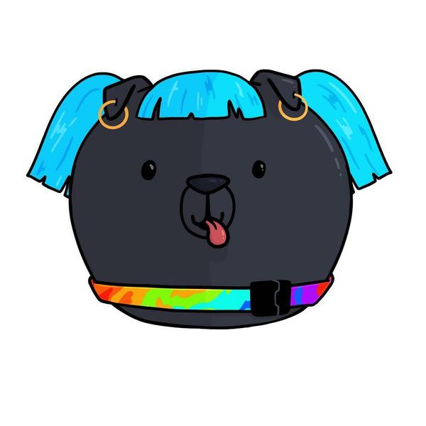 A black dog with hoop earrings, turquoise hair, and a rainbow collar