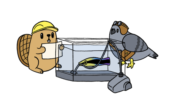 A beaver with a construction helmet, a wrasse fish holding a vacuum, and a homing pigeon with a messenger bag