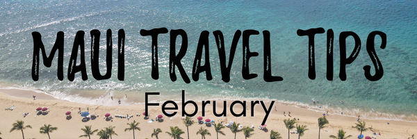 Maui travel tips February