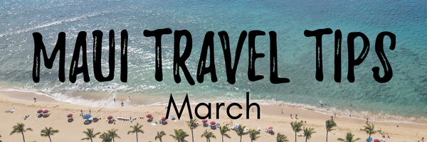 Maui travel tips February