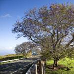 South Maui Beach and Accommodations