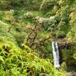 Road to Hana Tours