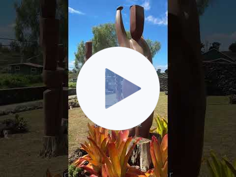 How to Experience MauiWine's Tasting Room