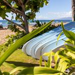 Kaanapali beach surf boards