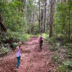 Hidden Gems on Maui Makawao Forest Reserve