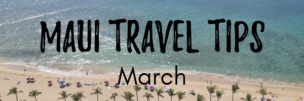 Maui travel tips March