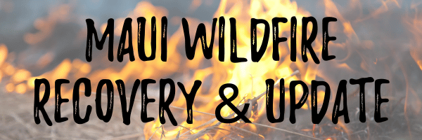 Maui Wildfire Recovery & Update