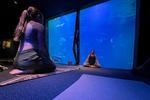 Yoga at the Aquarium