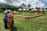 AgFest pony ride