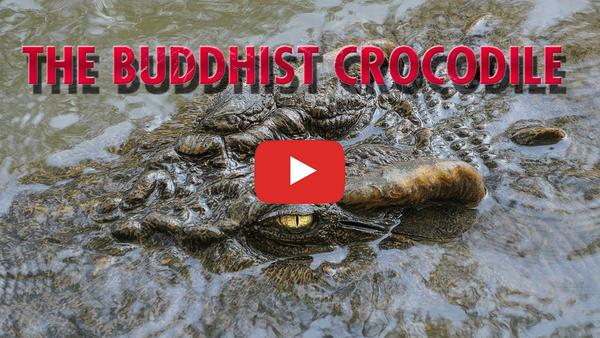 The Buddhist Crocodile