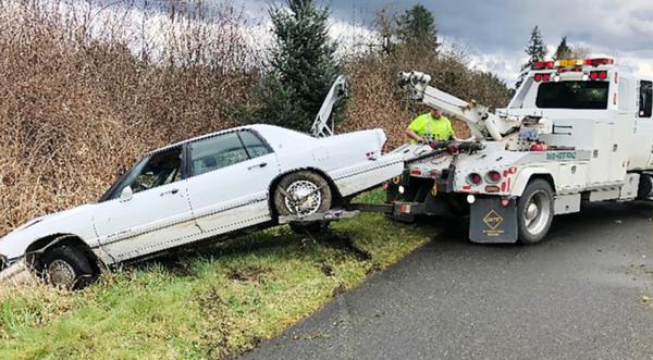 Man Teaching His Dog To Drive Leads Police On High-Speed Chase