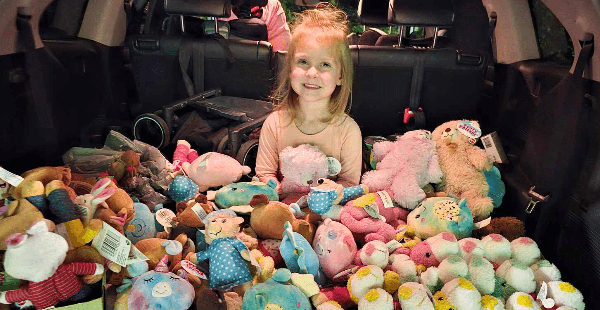 Four-Year-Old Collects Over a Thousand Stuffed Animals for Hurricane Helene Survivors