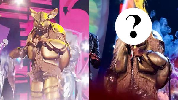 Masked Singer Reveals Famous “Hunter” Behind Armadillo Mask