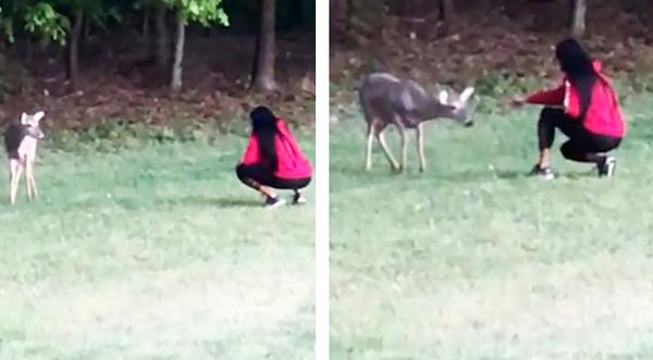 Video: Travis Tritt's Wife Has Reunion With Deer She Raised