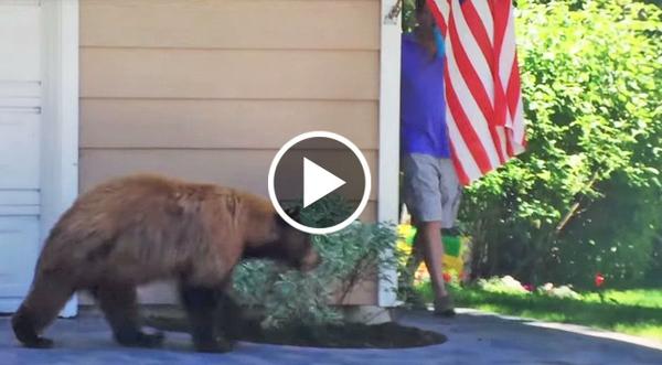 Bear and Man Scare Each Other And It's Hysterical!